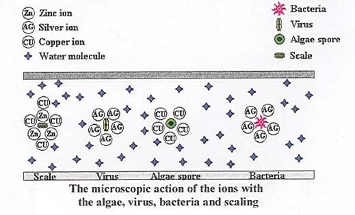 Copper, silver & zinc ions in action